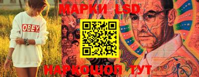 стафф Новодвинск
