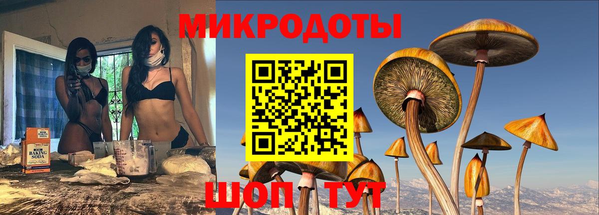 где купить наркоту  Вход с VPN  Белогорск  Псилоцибиновые грибы GOLDEN TEACHER 