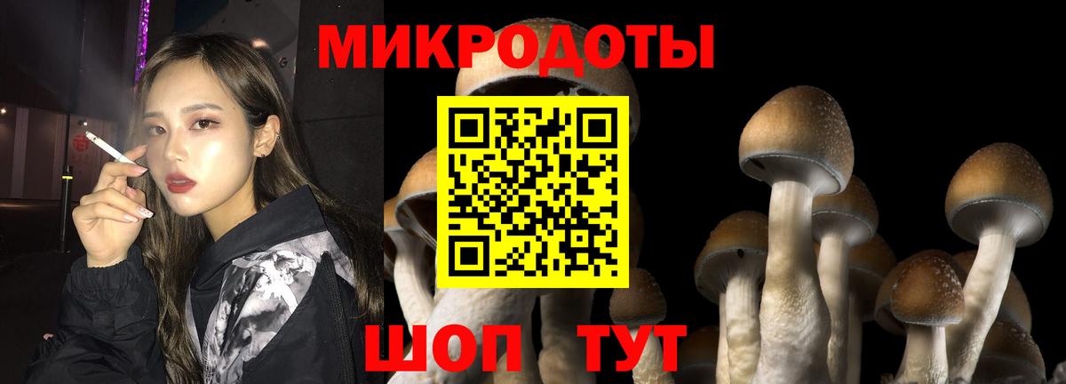 Псилоцибиновые грибы ЛСД Белогорск
